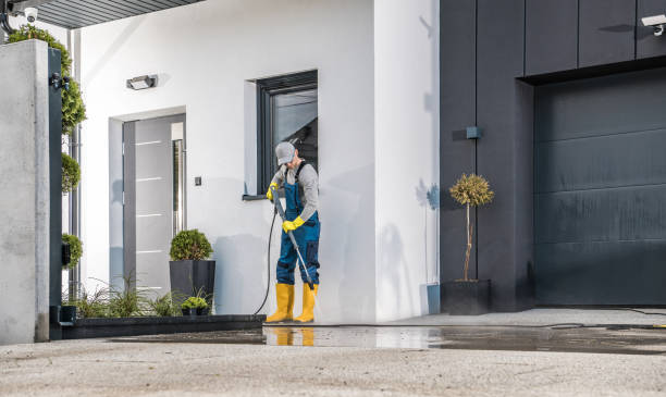 Best Gutter Cleaning  in Greenville, SC